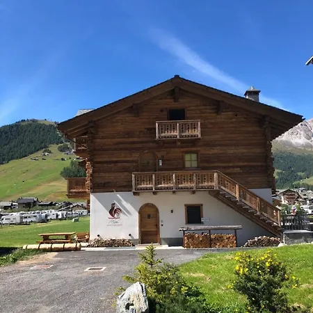 Remi - Domin Apartamento